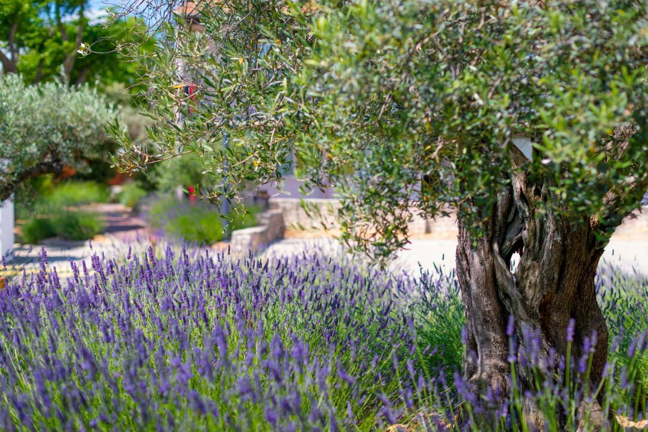Terre De Provence Hotel & Spa Le Pontet  Exterior photo