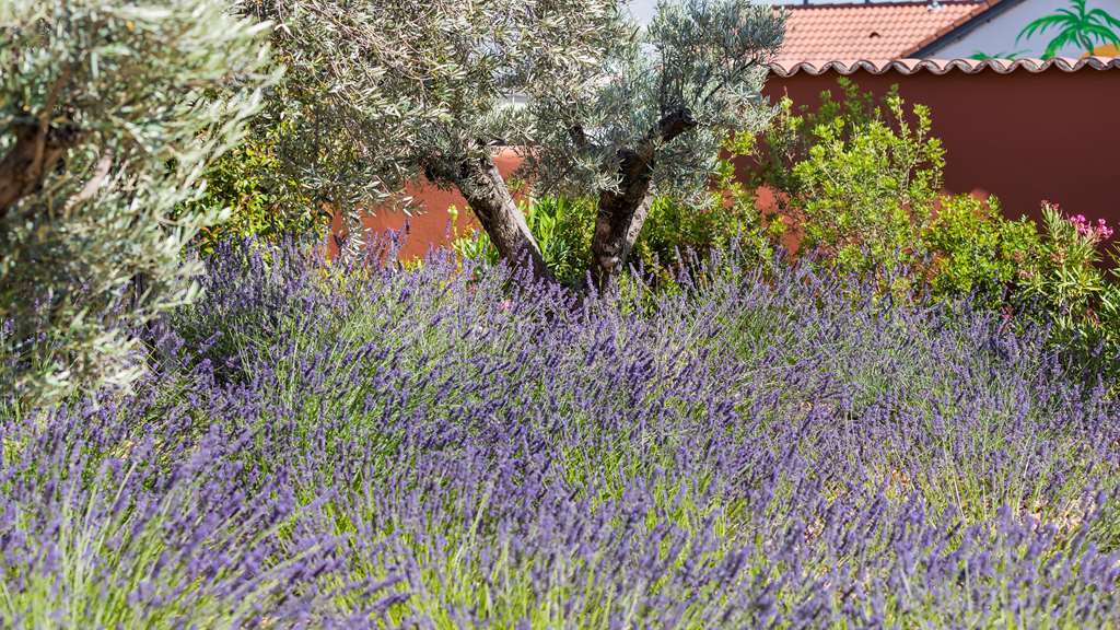Terre De Provence Hotel & Spa Le Pontet  Exterior photo